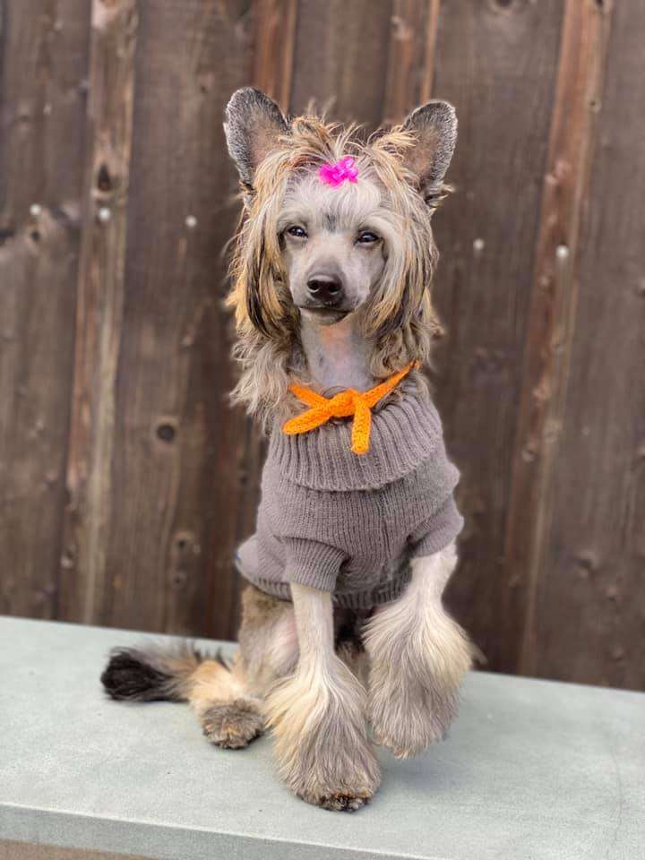 Kalimera's Autumn Rocker