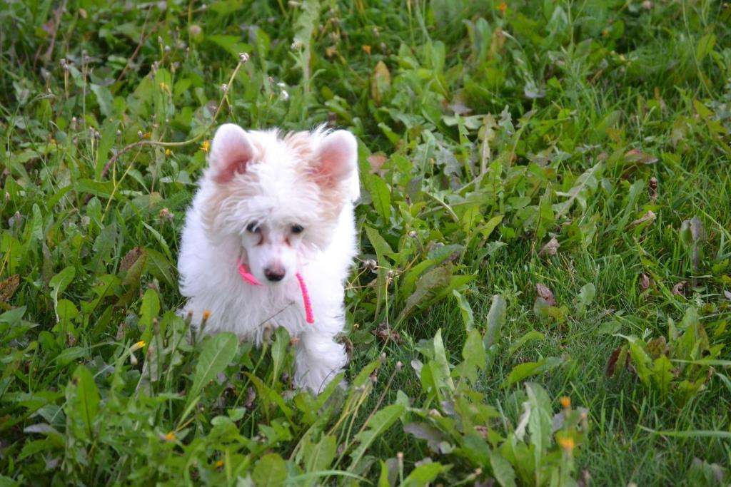 Family Mar'S Gabrialla