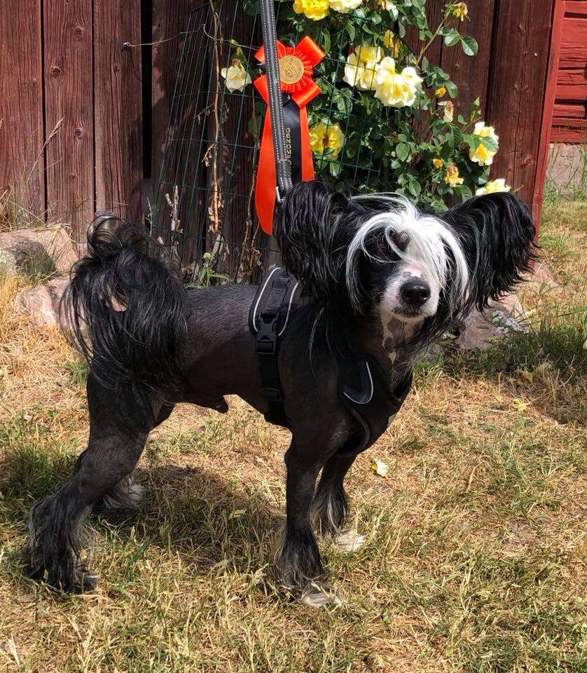 Yrar Your Daddy's Son