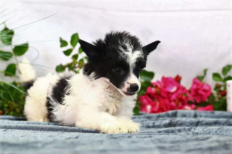 Jackpot Final Love von Natelberg