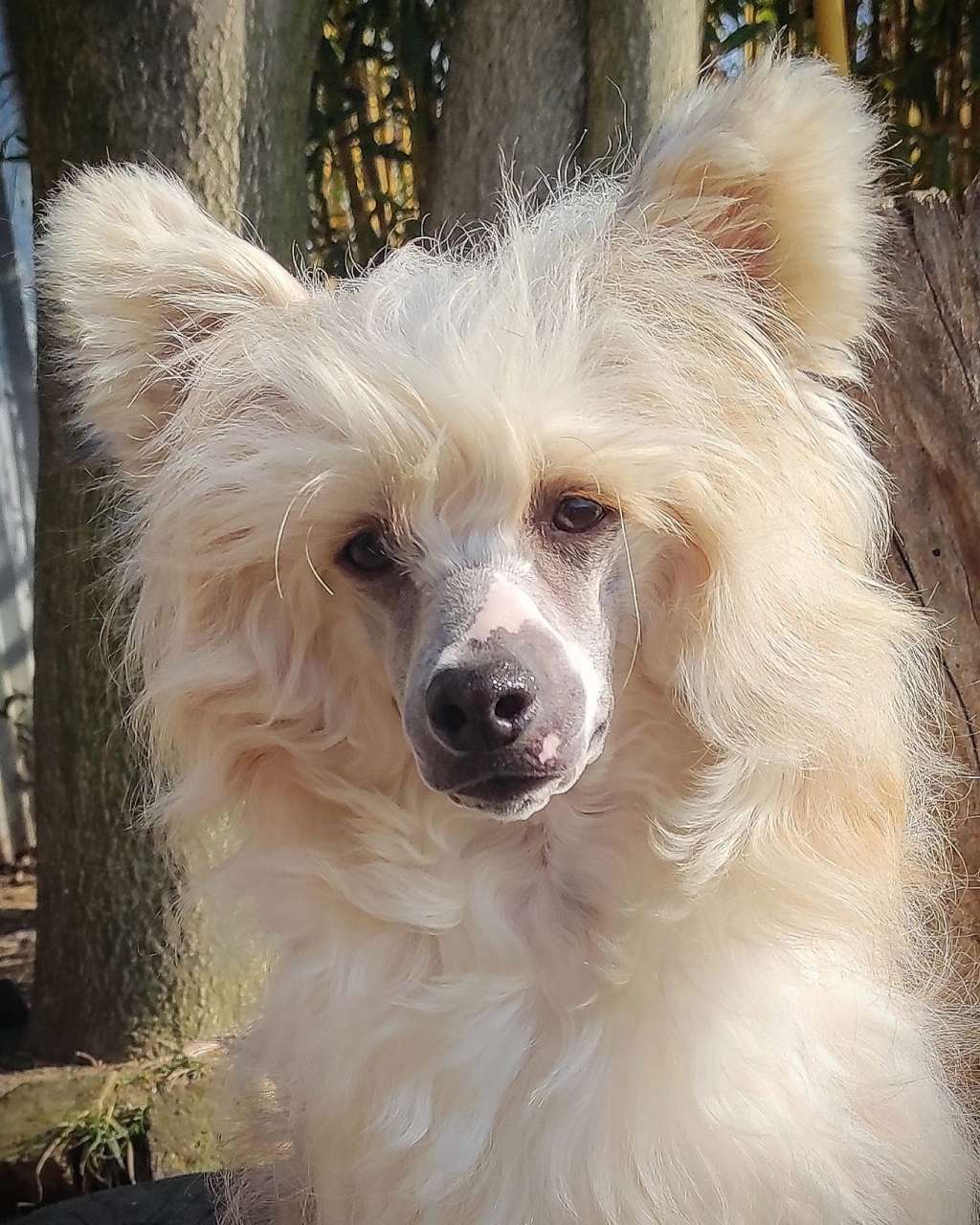 Everything I wanted Laminacka