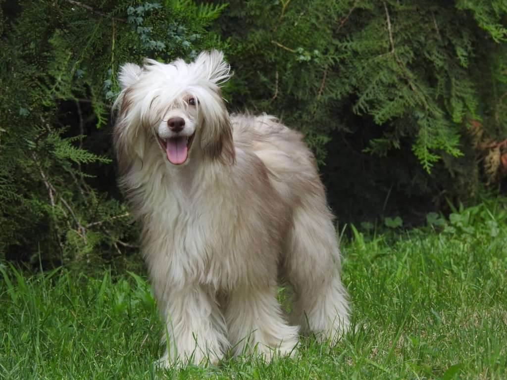 My Lucky Charm Diana Ross