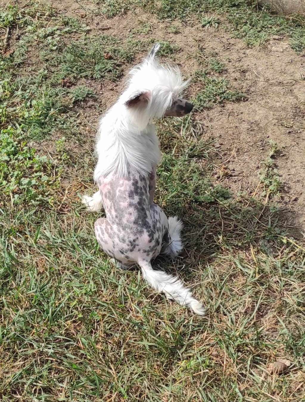 Fundoklia-völgyi Kaszanics Tutti Frutti