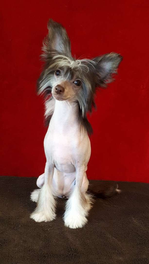 My Lucky Charm Demi Moore