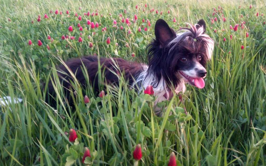 Carabella Sweet Moments