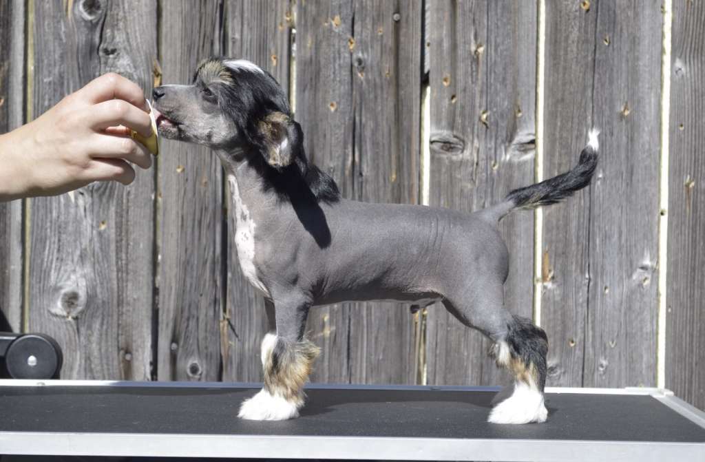 Girls Girls In This World