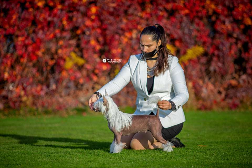 Licky Lips Love Is In The Air