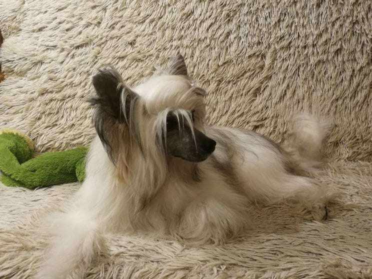 Drew Elliot Pompinell