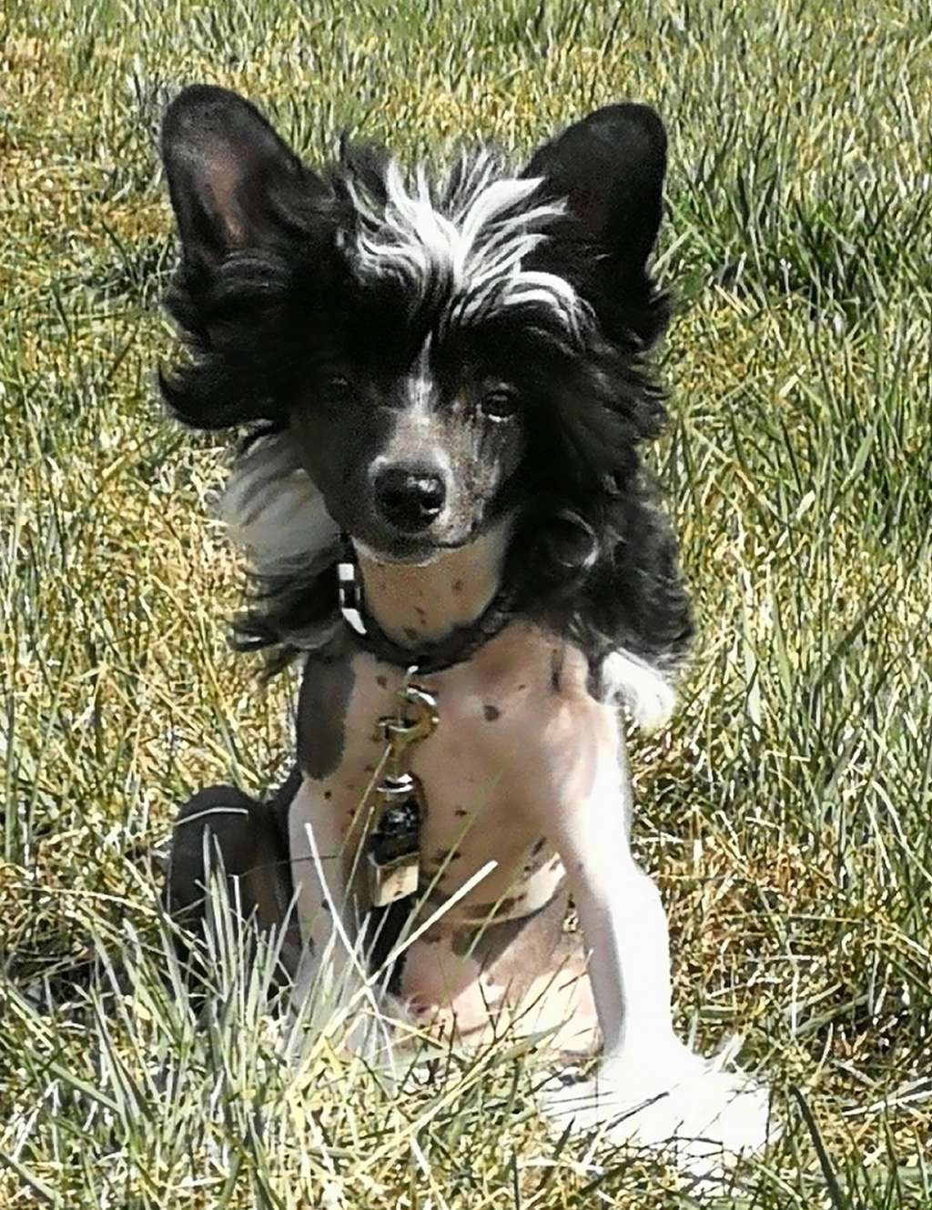 Ethan Marco Pompinell