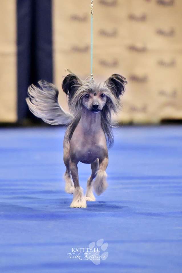 Jumanji Milfra-Moravia