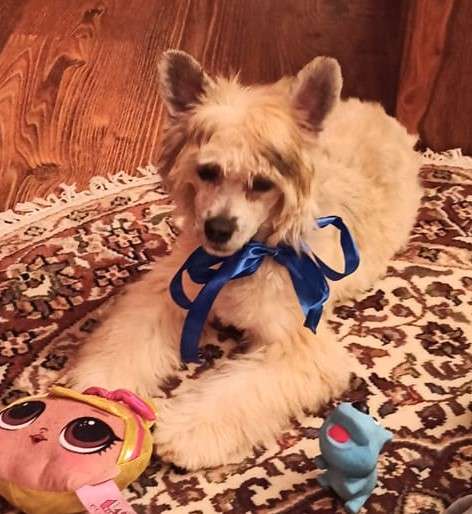 Jimi Hendrix Milfra-Moravia