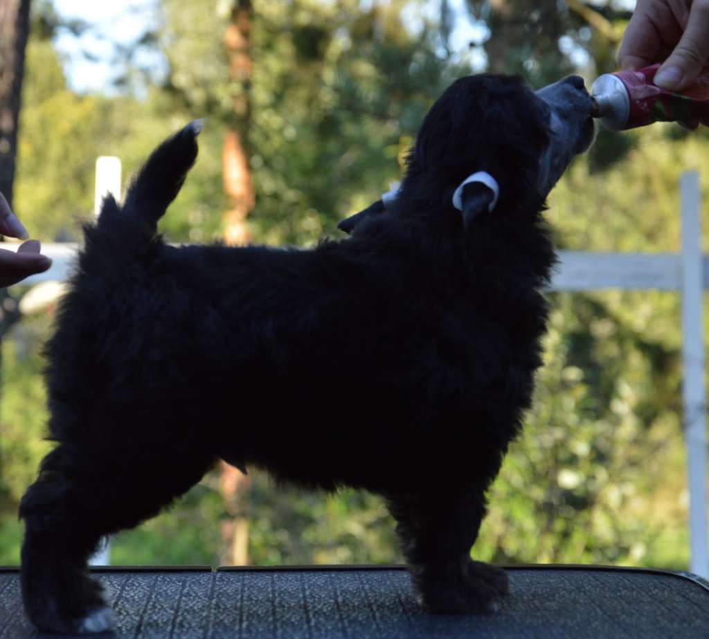 Kaitlin Yo Lockdown Yummy