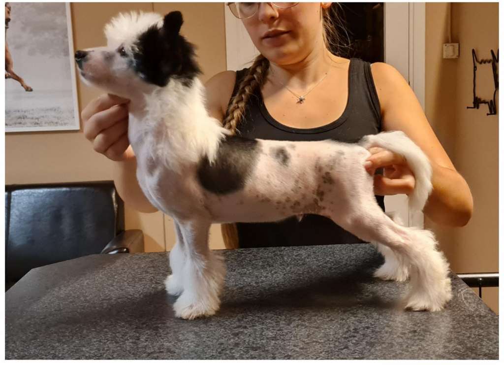 Jean Dark X Marks The Spot