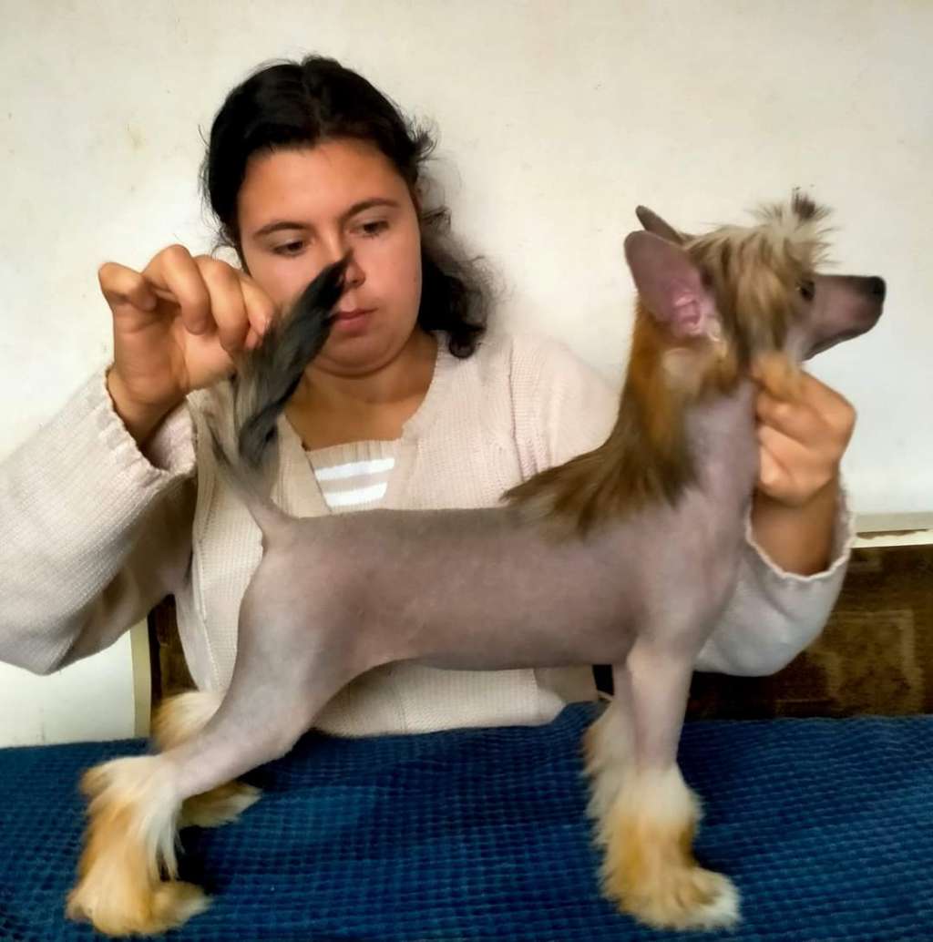 Moraine Molosos Gratzi