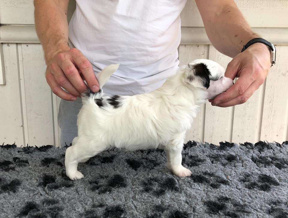 Arte Figure Off The Record