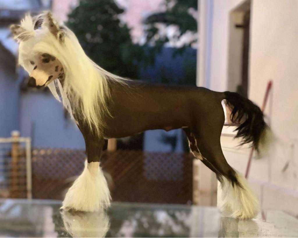 Valkrest Marilyn Monroe