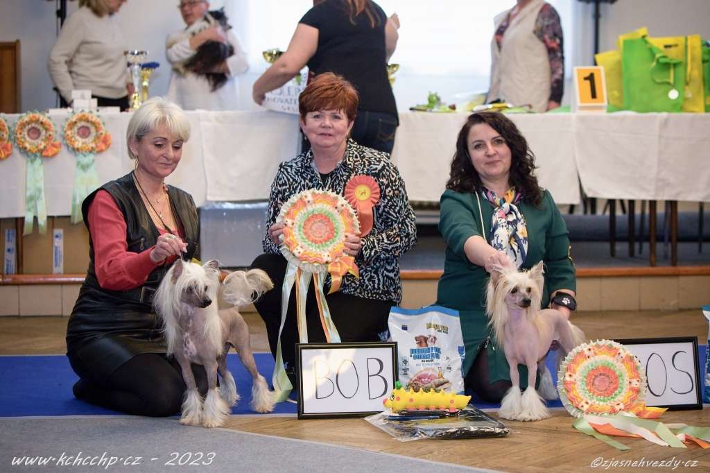 Xanna z Jasne hvezdy