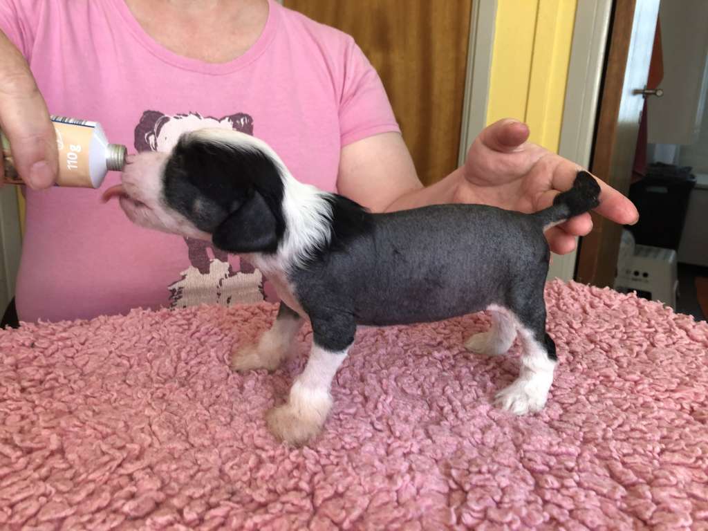 Yrar Great Expectations