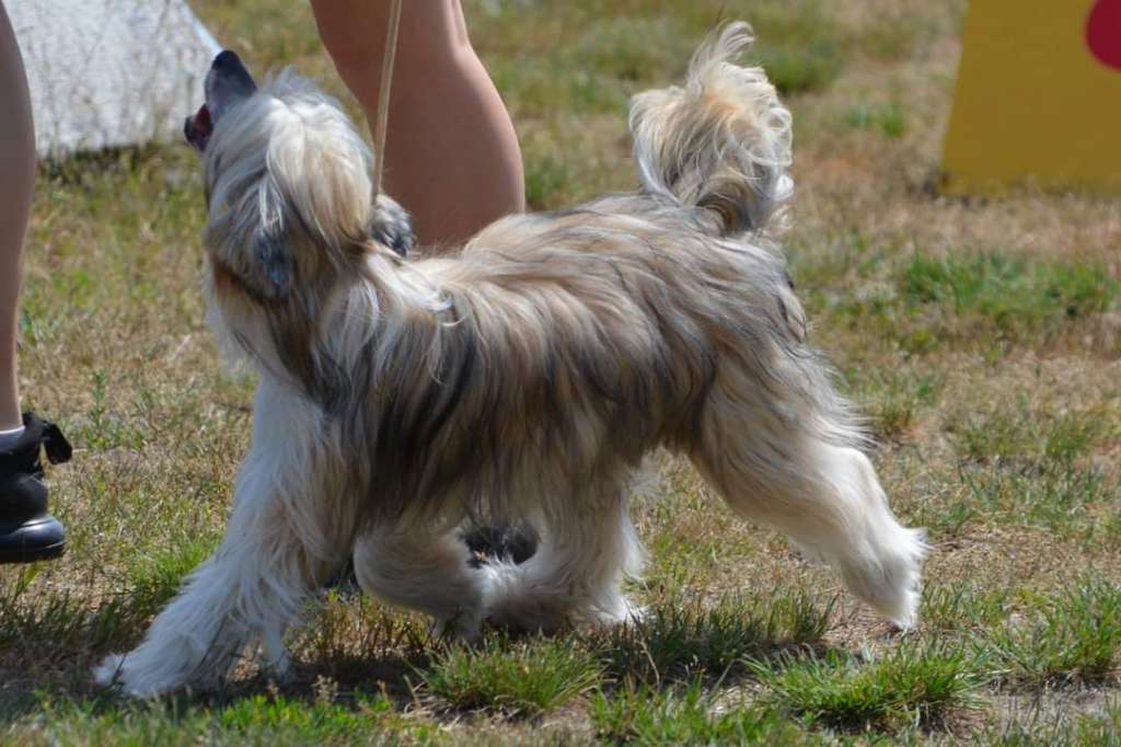 Jasleen MeFi of Purple Rain