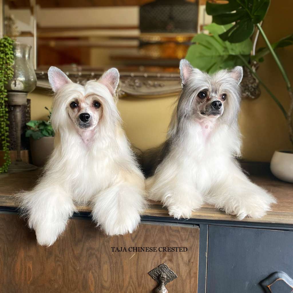 Taja Tobias a walk through nature