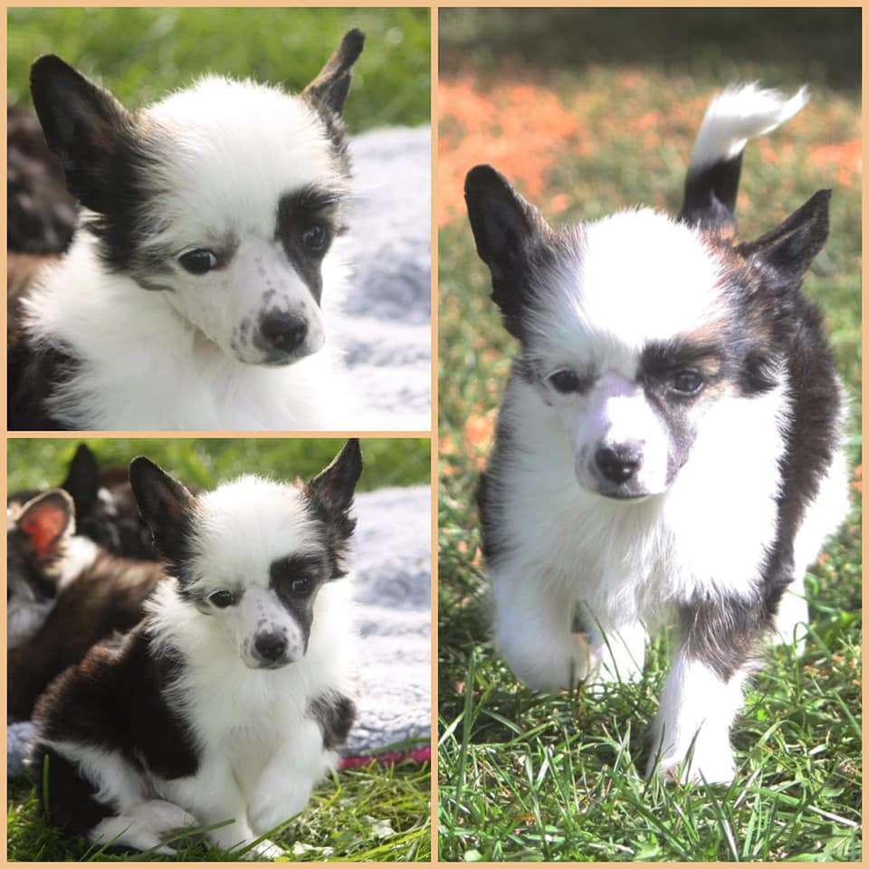 Beyesa's Alright To U