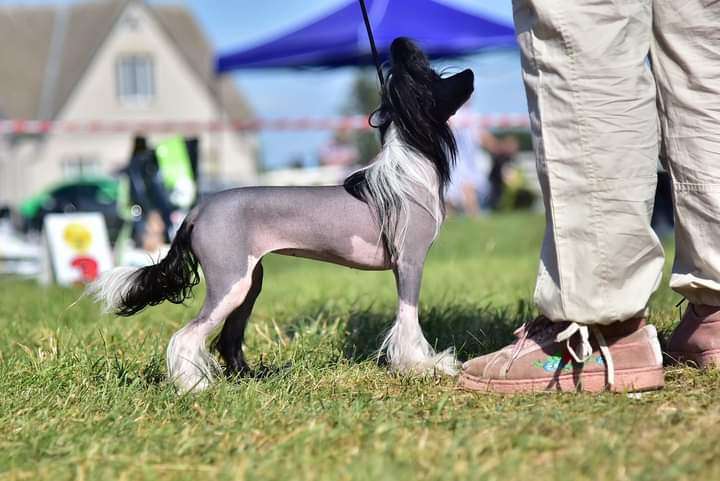 Madame Butterfly Iz Serebryanogo Raya