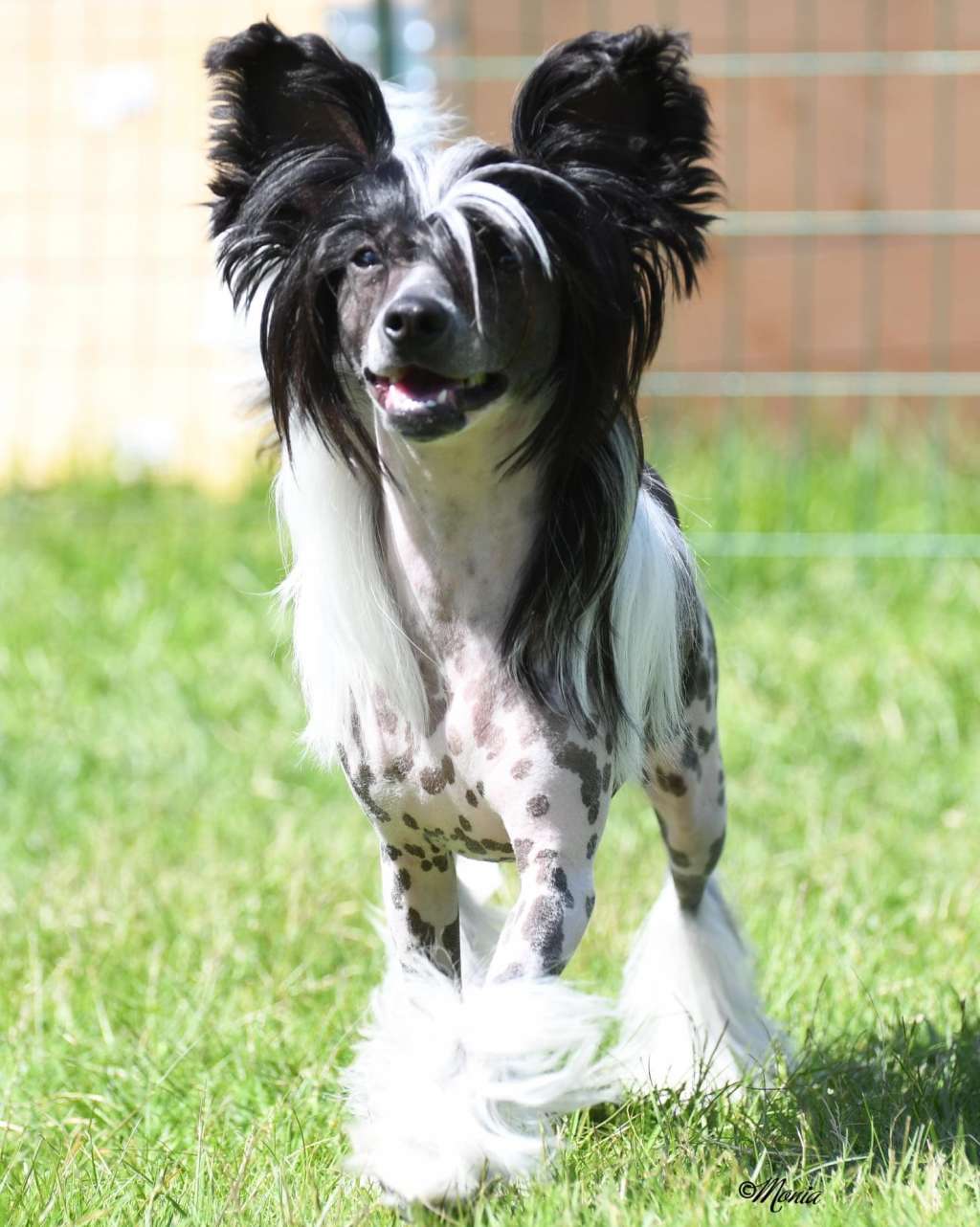 Sirocco Infinity On The Side