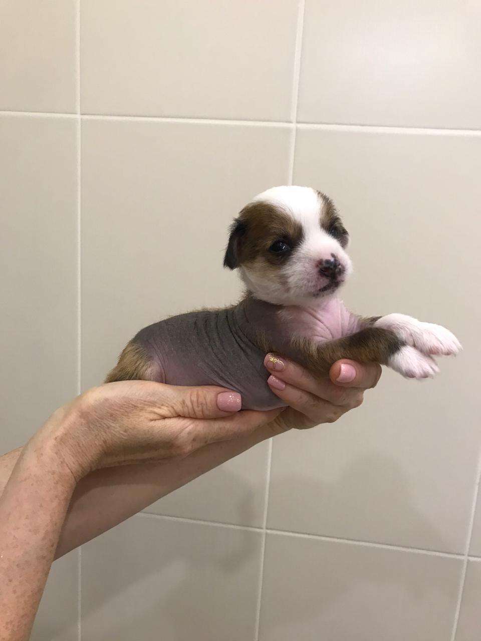 Ksolo Club Zagadka Vostoka