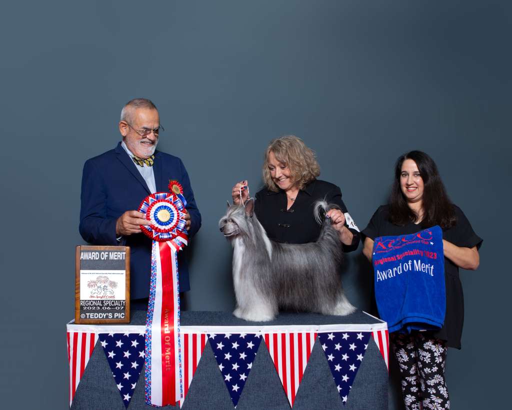 Orenda Viva Jumpin Little Juke Joint