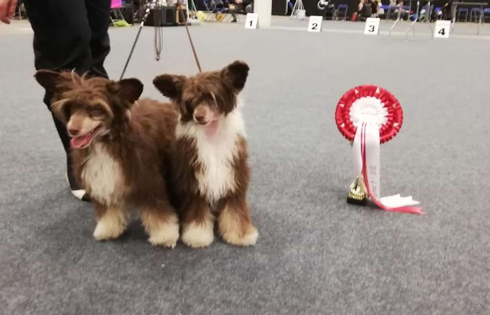 Allegranden Ichiro Hayate Masaru