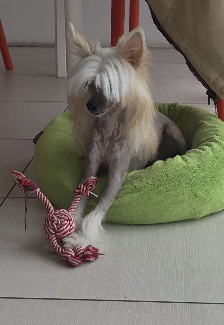 Isildur Modern Family