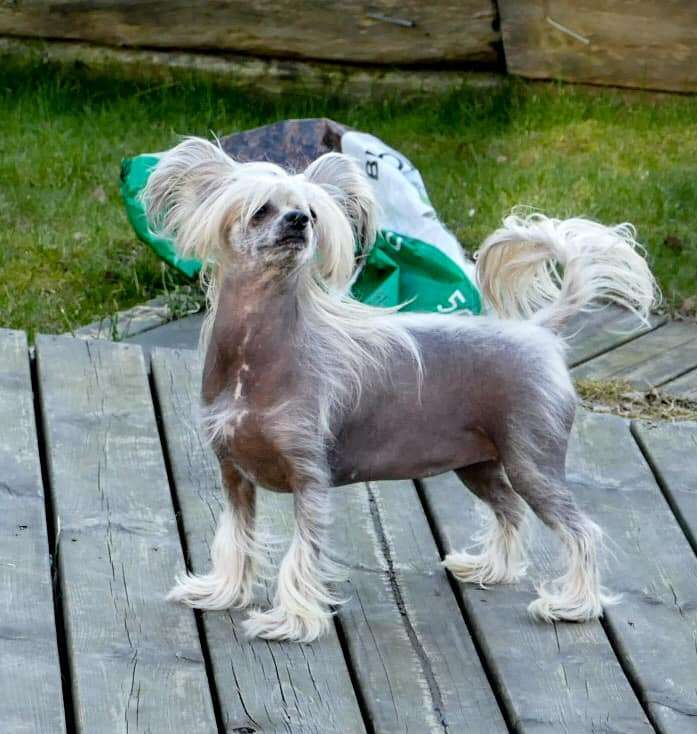 Nightstorms C U Later