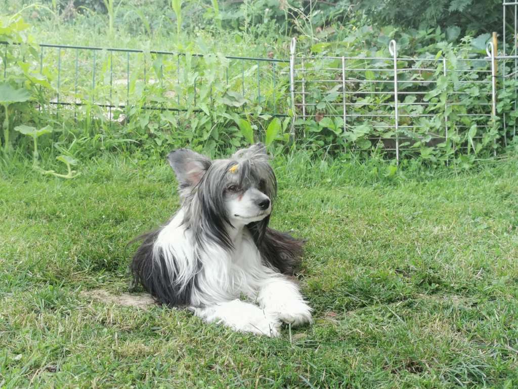 Betty Bark Lee in Terra Civis