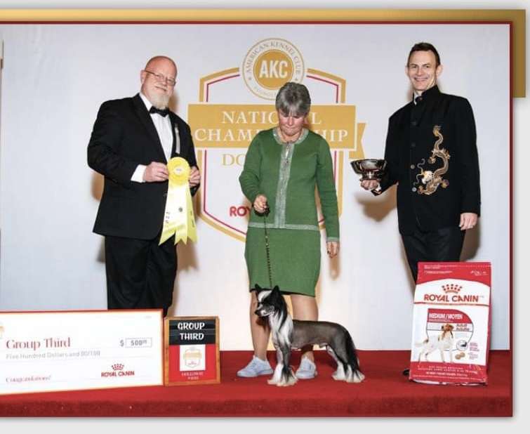 Kaylens Let Ur Imagination Run Wild Cristall-MyAng