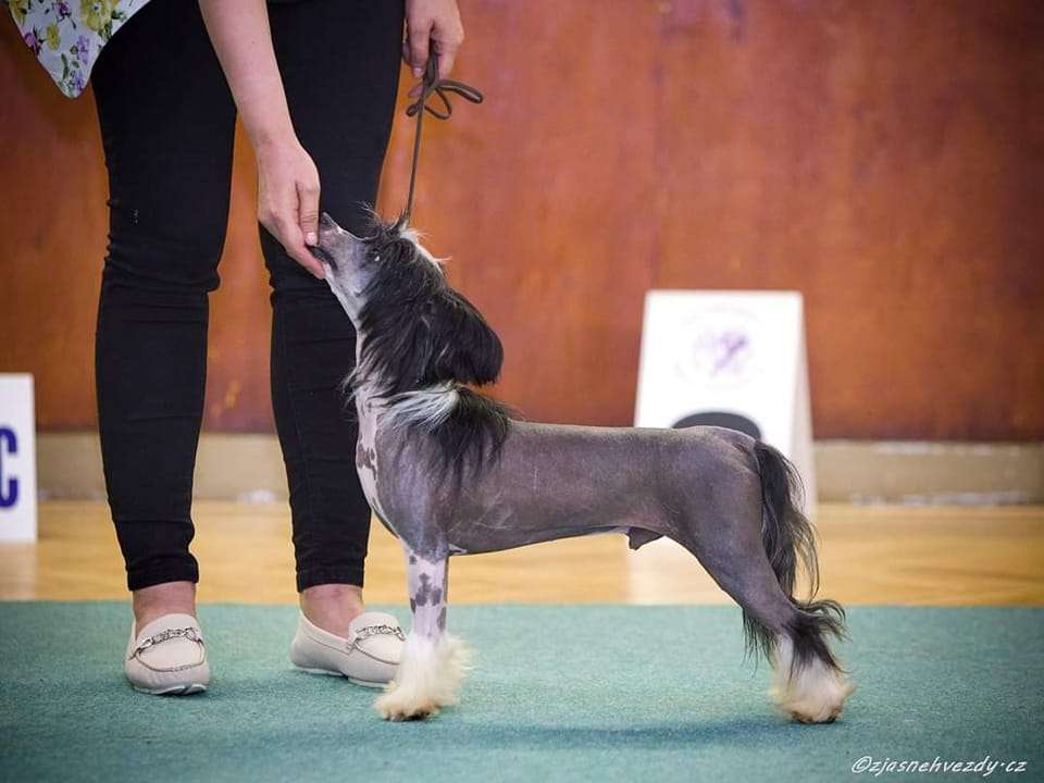 Rich In Love Heybett