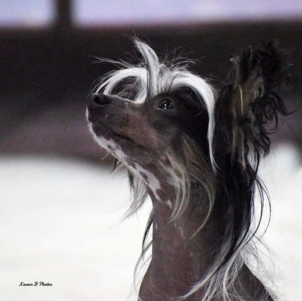 Diamonds Are Forever Gattaca