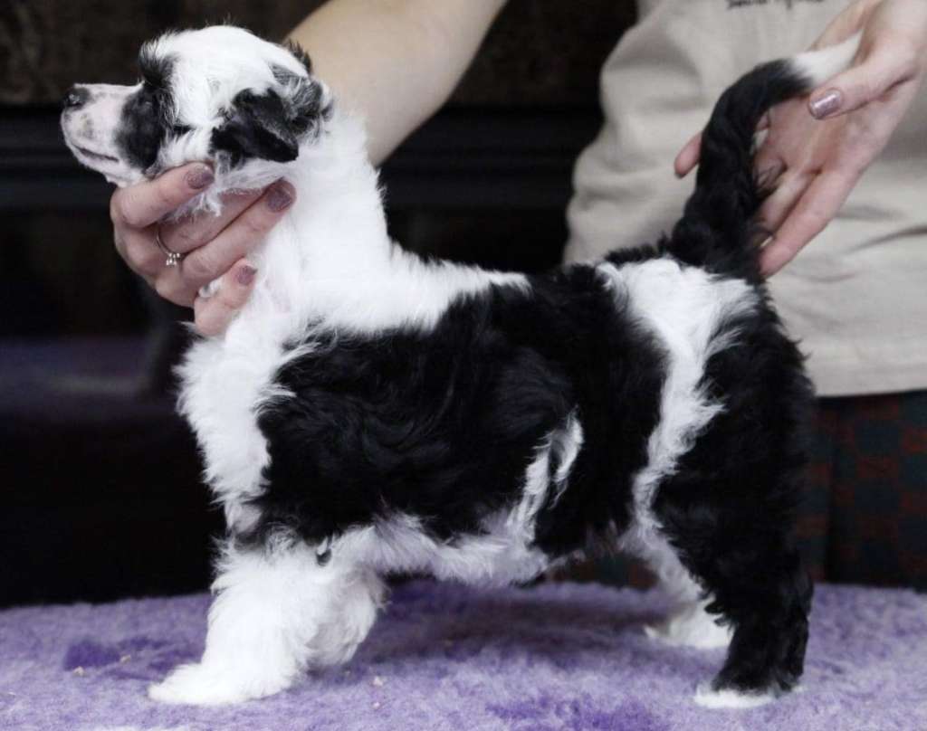 Kendra Planet Of Dream