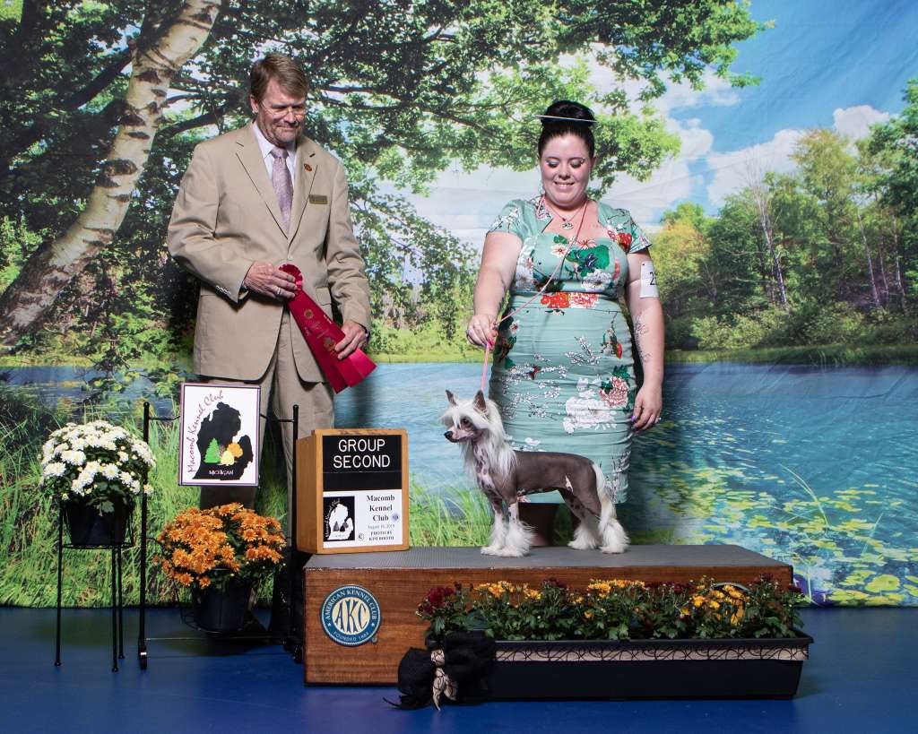 Kaylen's Love is in the Air