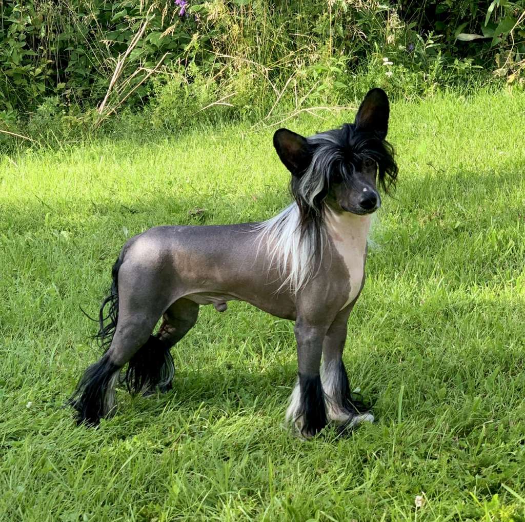 Karakush Grin And Bare It