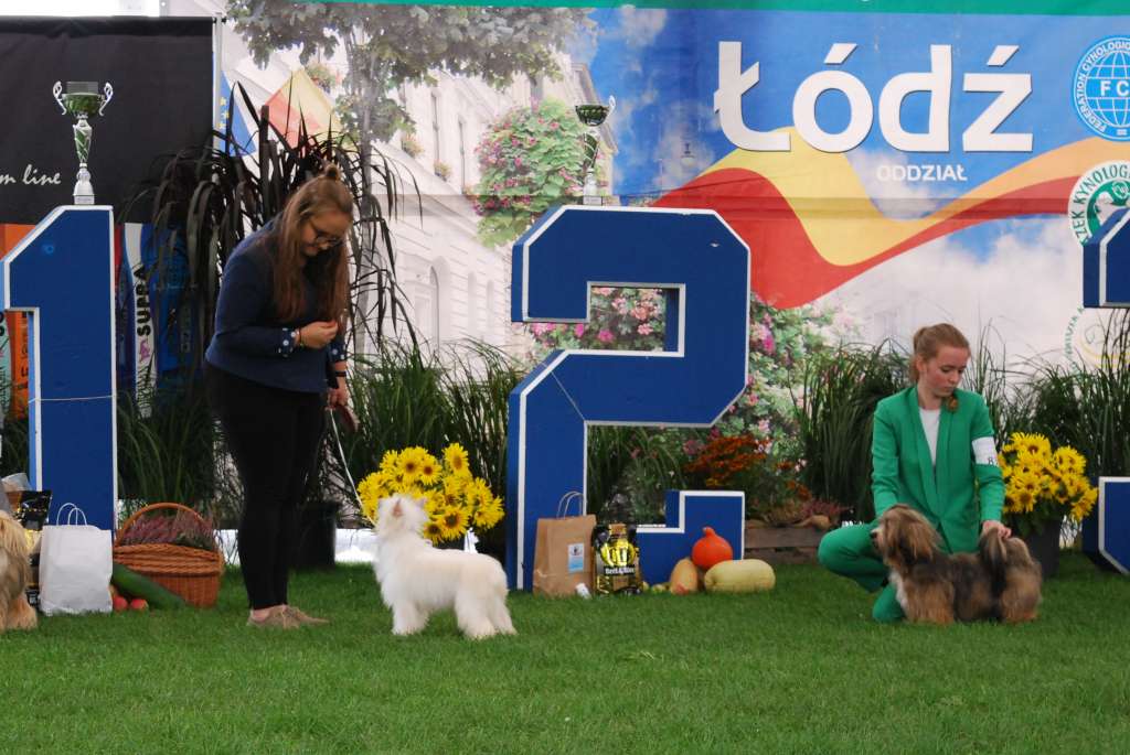 Sasquehanna (FCI) Narkomanka