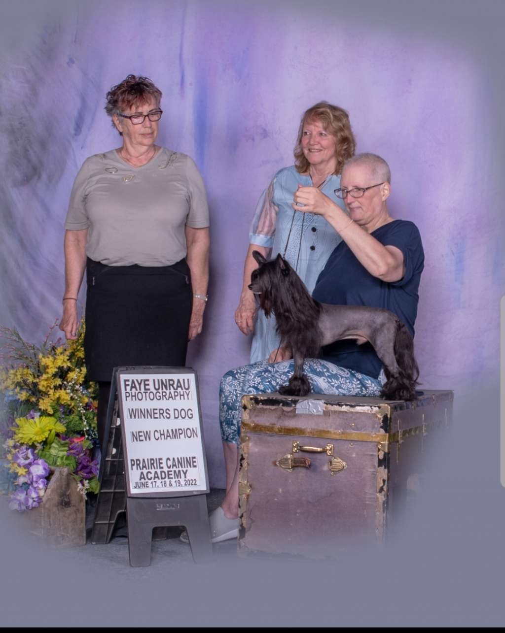 Ch Shantel's Dancing In The Dark