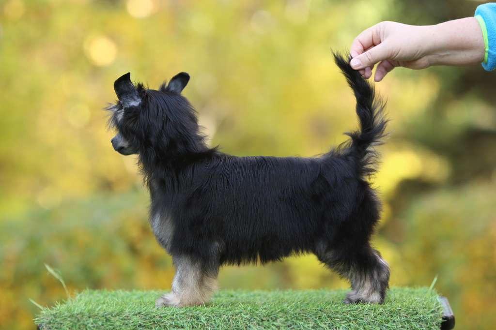 Incanto Del Mondo Esenia