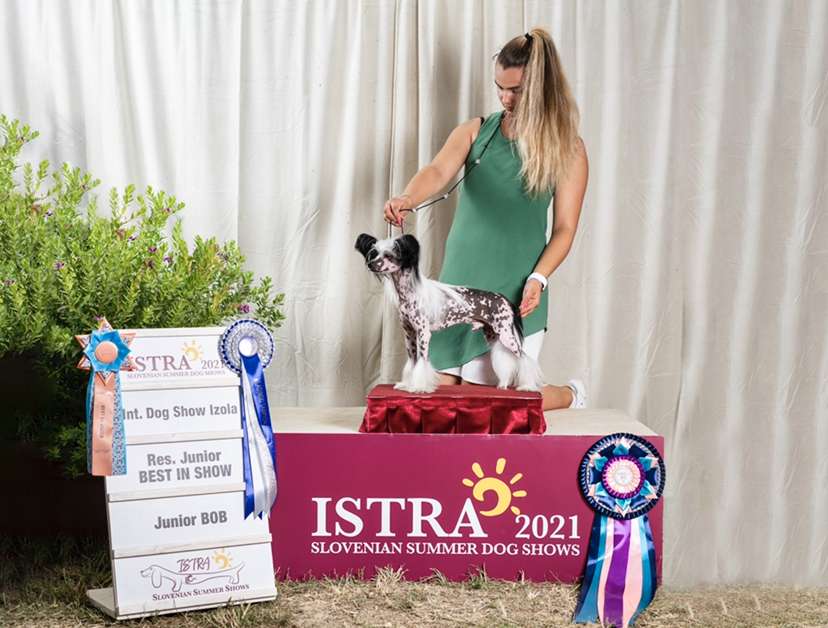 Stars at Sea Versace