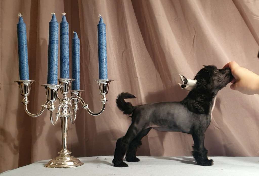 Swerotts Ebony Sweet Liquorice Pipe