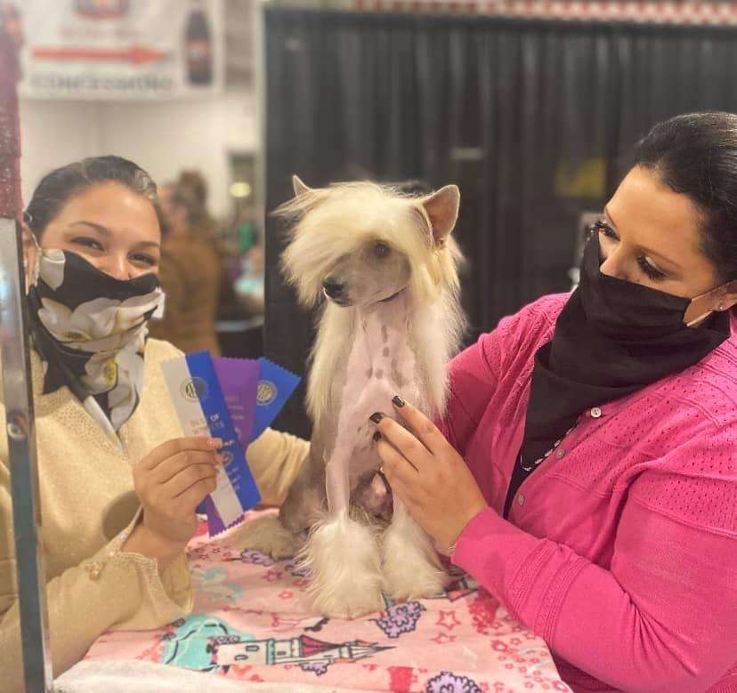 Sunlit's Strip Tease At Prairie Crest