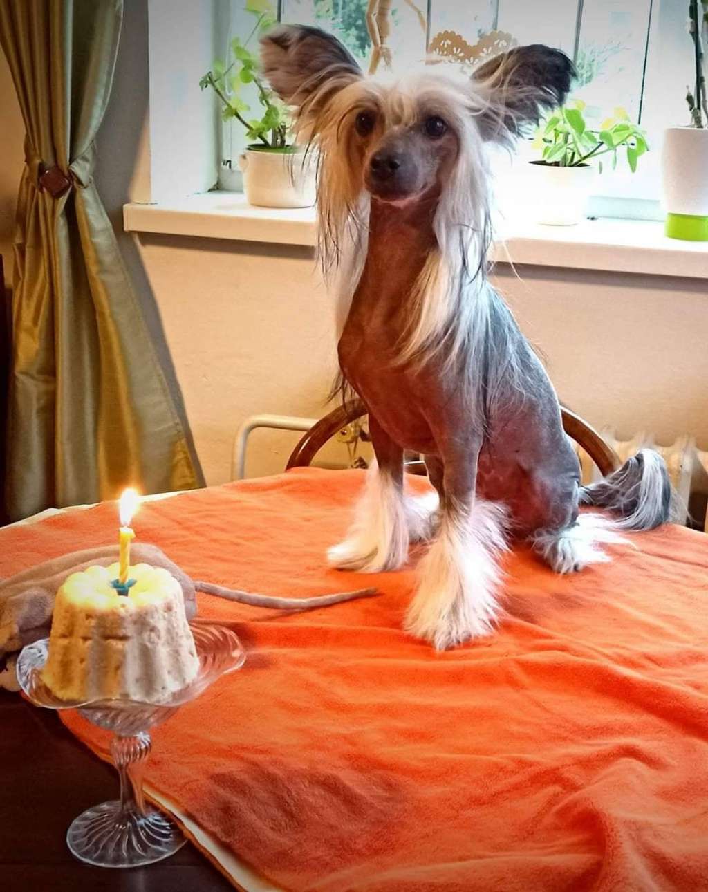 Just one Kiss  Avokaduh