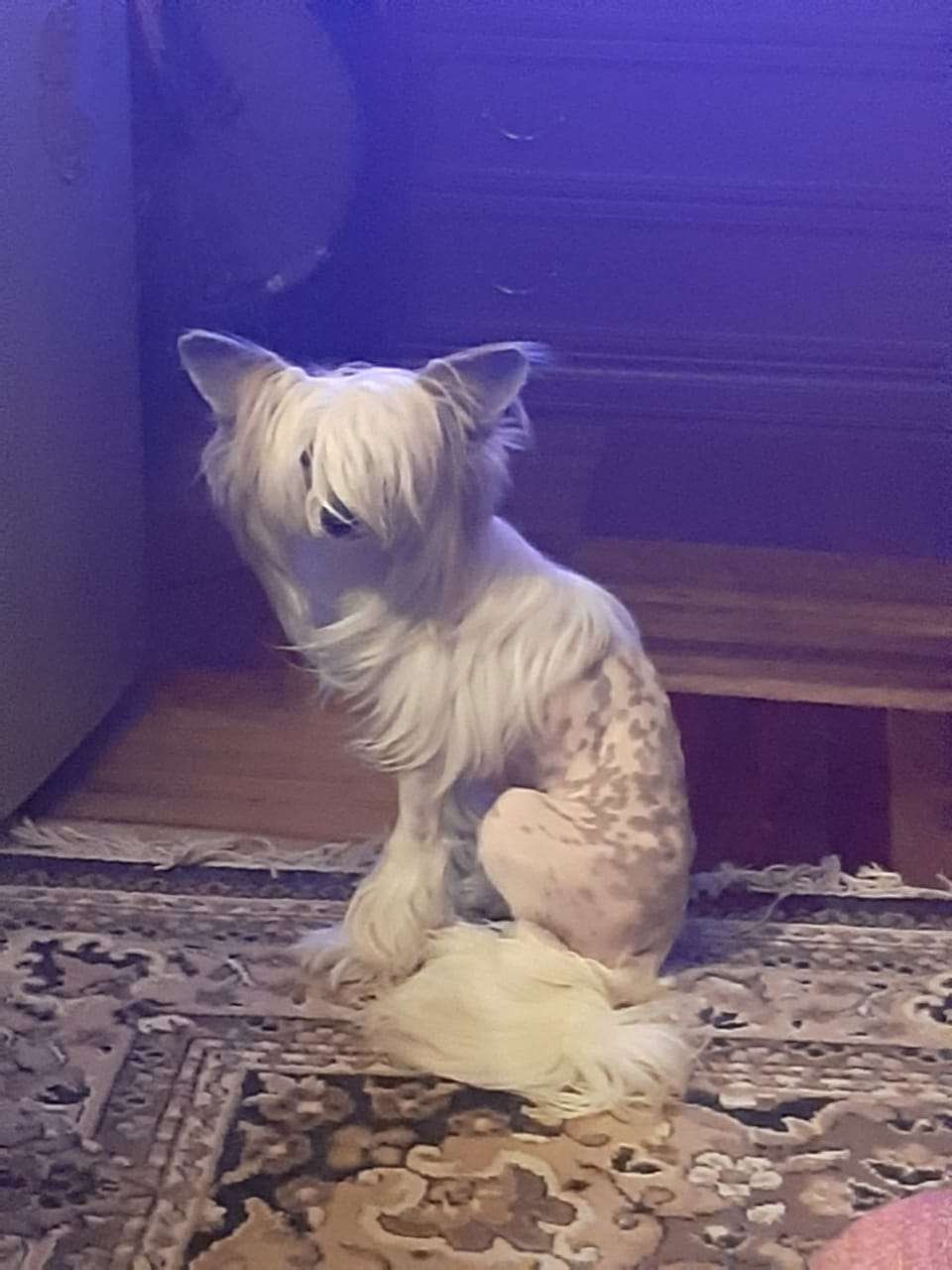 Grafe Snow iz Chudnoy Doliny