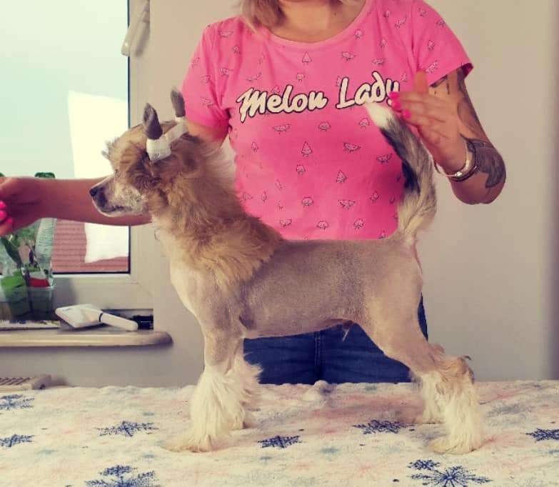 Urokliwy Unikat Aurinova