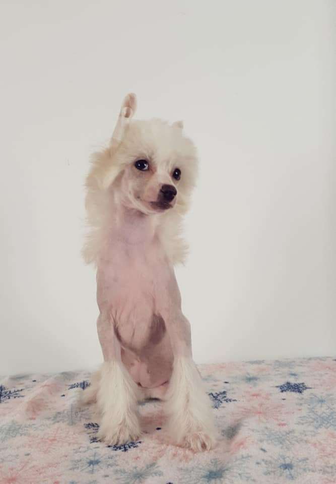 Utkana z marzen Aurinova