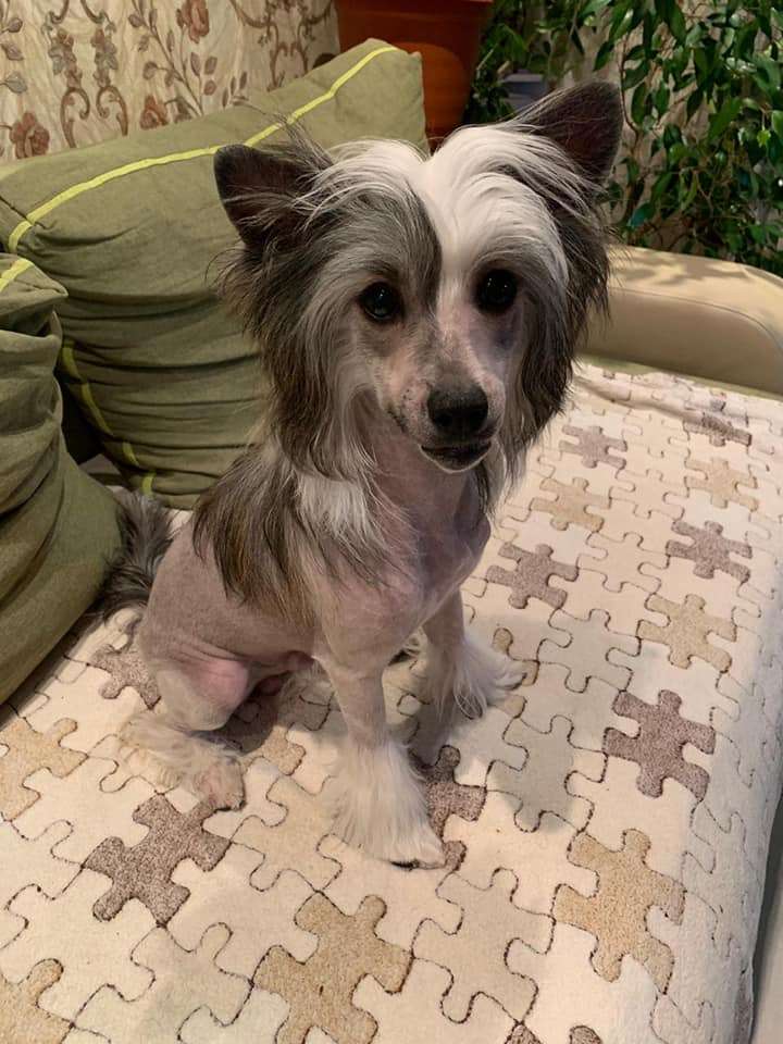 Baikal Dream Love is